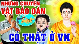 Kể Chuyện Nhân Quả CÓ THẬT 100%, VẬT BÁO OÁN Có Thật Ở Việt Nam - Sát Sanh Quả Báo Đến Rất Nhanh