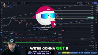 Sui Meme Coins Explode: Next Resistance at $6.50!