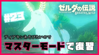 【ゼルダの伝説BOTW】マスターモードでティアキンに備える枠〔#23〕