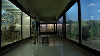 A Glance at the UI's Museum of Natural History