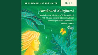 Awakened Rainforest