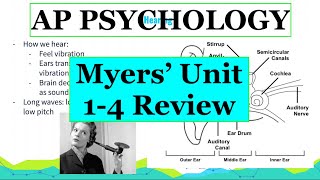 AP Psychology | Myers' Unit 1-4 Review
