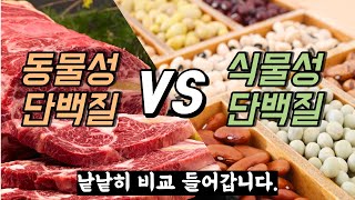 고기 vs 식물성 단백질. 콩단백질의 저렴한 진실