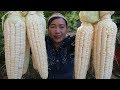 Tasty Corn Porridge Sweet - Simple Life Cooking