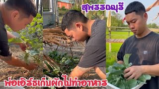 พ่อเอิร์ธแม่เปาเก็บผักไปทำอาหาร ผักสวนครัวที่สุพรรณบุรี