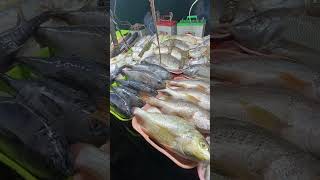 কক্সবাজারে জম জমাট মাছের ব্যবসা, #fishing #reelsvideoviral