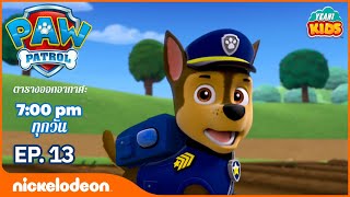 การ์ตูน Paw Patrol - ขบวนการเจ้าตูบสี่ขา  ลูกหมาช่วยกระต่าย ตอนที่ 13 | การตูนอเมริชั่นไทย 2019