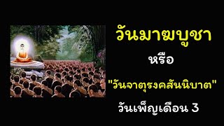 วันมาฆบูชา วันจาตุรงคสันนิบาต วันเพ็ญเดือน3 พระพุทธเจ้าทรงประทานหลักคำสอนโอวาทปาฏิโมกข์ เข้าวัดทำบุญ