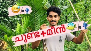 🎣 നാടൻ ചൂണ്ടയിടൽ 🐠 fishing with simple tricks 🎣🐠