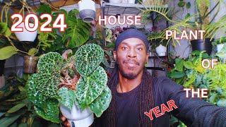 🪅2024 House Plant Of The Year🪅