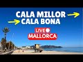 🔴 LIVE Cala Millor to Cala Bona  (Majorca) Mallorca | 24 March 2024