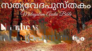 സംഖ്യാപുസ്തകം   Numbers   Chapter 27   Malayalam Audio Bible