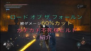 ロード オブ ザ フォールン 被ダメージ60%カット カチカチビルド 紹介