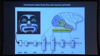 Reverse Engineering the Mind - Prof. James DiCarlo, MIT Department of Brain and Cognitive Sciences