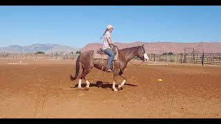 Foundation Principles that help YOU just as much as they help your horse!