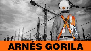 ARNÉS DE SEGURIDAD - GORILA