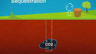 Carbon Capture Sequestration and Reuse, Webisode 1: The Basics