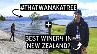 WANAKA New Zealand | Food, Wine \u0026 THAT beautiful Wanaka Tree! | Rippon Estate Vineyard 4K