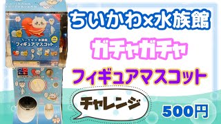 ちいかわ×水族館フィギュアマスコット【ガチャガチャ】