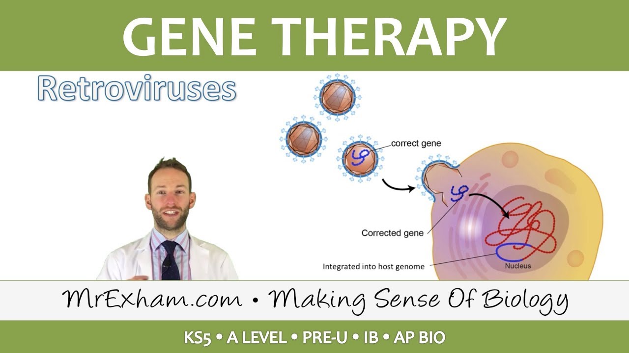 Gene Therapy - Post 16 Biology (A Level, Pre-U, IB) - YouTube