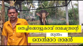 തെച്ചിക്കോട്ടുകാവ് രാമചന്ദ്രന്റെ  നെന്‍മാറ രാമന്‍. Thechikkottukavu Ramachandran and Nenmara Raman