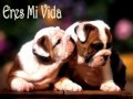 cada vez ke te veo