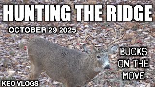 Bucks On The Move Hunting Cherry Ridge