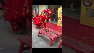 Lion dance 311