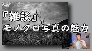 【雑談】曇り空で撮るモノクロ写真が楽しい