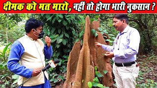 दीमक को मारने से ये है नुकसान? । Save Termite Save Farming । Dimak Marne Ke nukshan