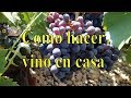 Como hacer vino tinto casero.