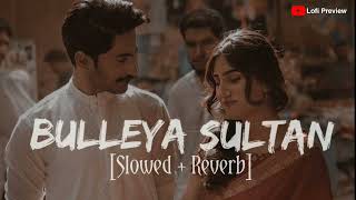 Bulleya | | Sultan | [Slowed +Reverb]Salman Khan, Anushka Sharma | Papon |  || Lofi Preview ||