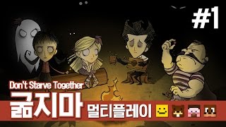 양띵 [같이 하니까 더 재밌네? 네 얼간이 생존기! 굶지마 멀티플레이 1편] 돈 스타브 Don't Starve Together Closed Beta