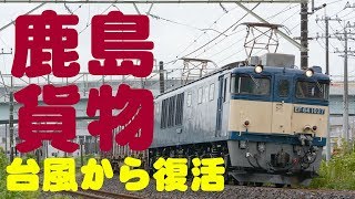 【鹿島貨物】台風15号の直撃で鹿島線壊滅！ついに復活の日を迎えた鹿島貨物を追った！