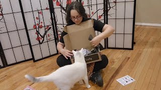 Unboxing CatLadyBox November 2024