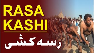 Rassa Kashi | SadiqAbad |