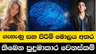 ගැහැණු සහ පිරිමි මොලය අතර ඇති පුදුමාකාර වෙනස්කම් Soya yamu Sinhala Srilanka