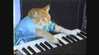 3 Cats & Trololo: Soldier vs Floor Buffer