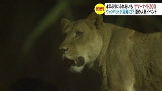 4年ぶりにふれあいも　夏恒例「サマーナイトZOO」　ウォンバットが活発に!?夜の動物たちを観察