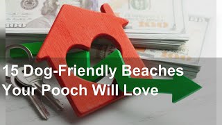 15 Dog-Friendly Beaches Your Pooch Will Love