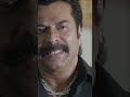 നിനക്കൊക്കെ ഈ പടം തിരുനതുരെ വരെ സീ ഉണ്ട് mammootty shylock