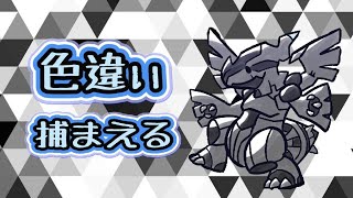 乱数調整を駆使して色違い図鑑を埋める！【ポケモン】2019/05/04②