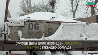 Ош облусунун аймагында оор жүк ташуучу унаалар нормадан көп көмүр  жүктөп ташып жатышабы?