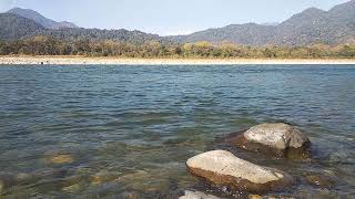 Inside the Manas National Park