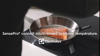 Electrolux Millennium SensePro FR 06sec