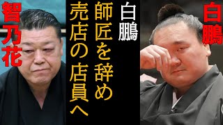 白鵬・北青鵬問題が世界一わかる動画 元横綱に衝撃の処遇 宮城野部屋取り潰しか？