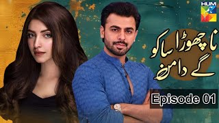 Na Chura Sako Ge  Daman | Episode 01 | Kinza Hashmi | Farhan Saeed | Habib Drama Voice