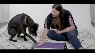 How To Train Your Dog to Use a ScratchPad Scratch Board - Front Feet