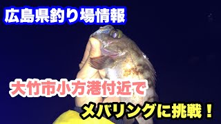 メバリング　ジグヘッド とワームでは食わない時もある。時間帯もだけど。広島　大竹市　小方港付近　釣り場　堤防