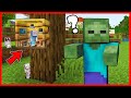 BANGUN RUANG RAHASIA MINI UNTUK BERTAHAN DARI ZOMBIE !! Feat @sapipurba @FannyTjandra Minecraft